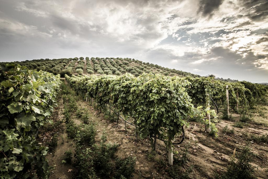 Agriturismo Il Giriatello Crotone Buitenkant foto