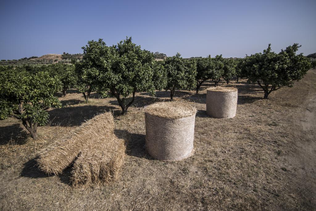 Agriturismo Il Giriatello Crotone Buitenkant foto