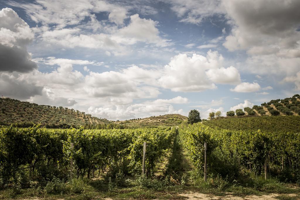 Agriturismo Il Giriatello Crotone Buitenkant foto