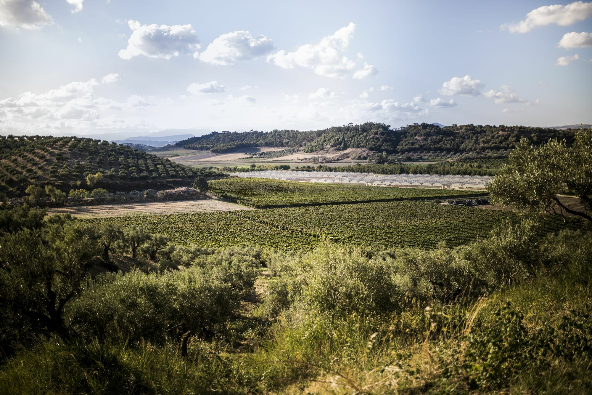 Agriturismo Il Giriatello Crotone Buitenkant foto
